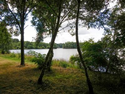 Etang de Gruellau à Treffieux